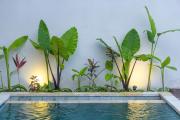 Top Ubud