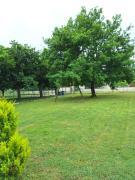 Top Saint-Vivien-de-Médoc