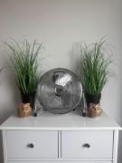 Top Lębork Top Lębork