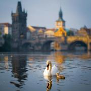 Top Prague