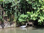 Studio Luna Apartments