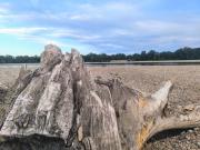 Top La Chapelle-sur-Loire