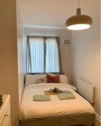 Central Dublin 1 Bedroom and Double Sofa Bed near Guinness Storehouse
