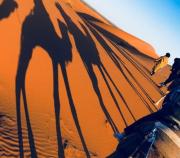 Top Merzouga