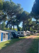 Top Misano Adriatico