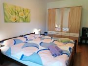 Fleur des alpes, Les Edelweiss