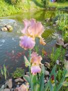 Top Saint-Léon-sur-Vézère