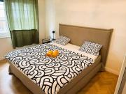 Spacious Old Town Flat, Munster