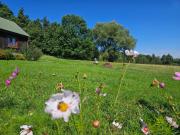 Top Nowa Słupia Top Nowa Słupia