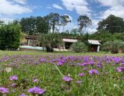 Casa Pamital Osório