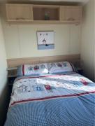 M15 Meadow View Golden palm