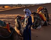 Top Merzouga