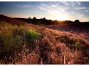 Spacious holiday home in Voorhuizen with terrace