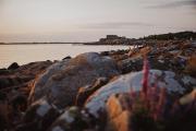 Top Varberg