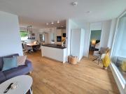 Hohes-Ufer-Moewennest