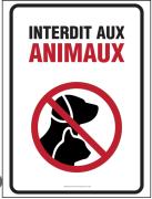 Grand appartement ensoleillé, suite parentale, 2 salons, 2 salles de bains, 2piscines, stationnement privé, à 750m de la plage Mimosa