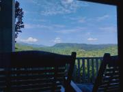 Rainforest Nature House