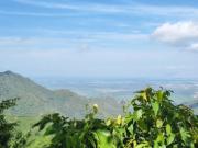 Top Ciénaga Top Ciénaga