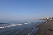 Top Torrox