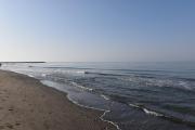 Top Torrox