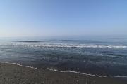 Top Torrox