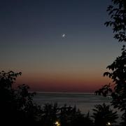 apartament abuseridze