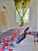 GREEN PARADISE LEONA VICARIO