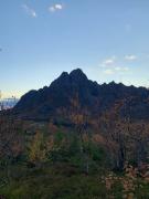 Lofoten- Feriehus Fjøsen