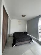 Alto Grande del Arte - 0702