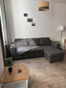 Appartement T2 cosy au centre du puy en velay