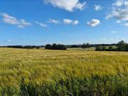 6 person holiday home in Hejls-By Traum 6 person holiday home in Hejls-By Traum