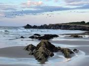 Top Rockport