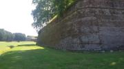Top Lucca