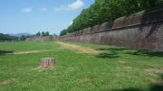 Top Lucca