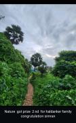 Top Calangute