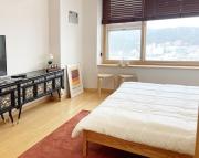 Mother of pearl Stay