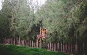 Vindoux Tree House Guest Farm & Spa
