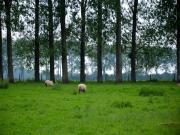 Holiday home in a historic building near Montreuil