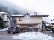 Pretty Apartment in Hollersbach near forest