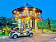 Top Bon Tan Djiran B