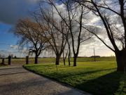 Top Roesbrugge-Haringe