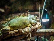 Top Weissenhäuser Strand