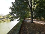 Top Ieper