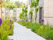 Top Sankt Peter-Ording