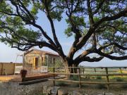 Top Castelnuovo di Val di Cecina