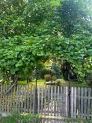 Top Grzegrzółki Top Grzegrzółki