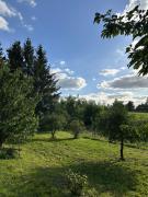 Top Grzegrzółki Top Grzegrzółki