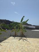 Top Los Llanos de Aridane