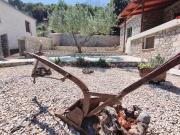 Top LĂlaia Top LĂlaia