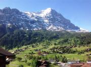 Top Grindelwald